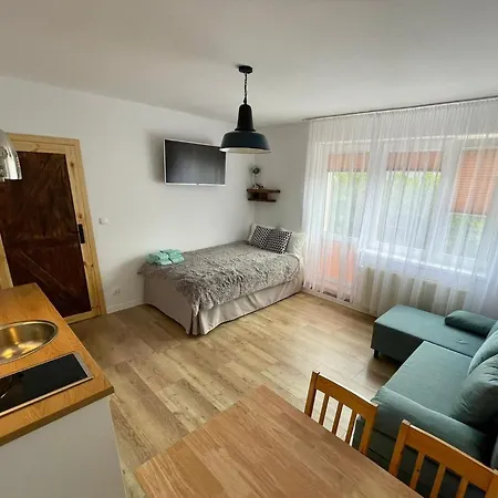 Pan Rybak Apartament *