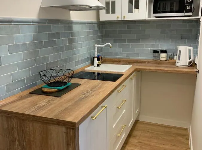 Pan Rybak Lejlighed *